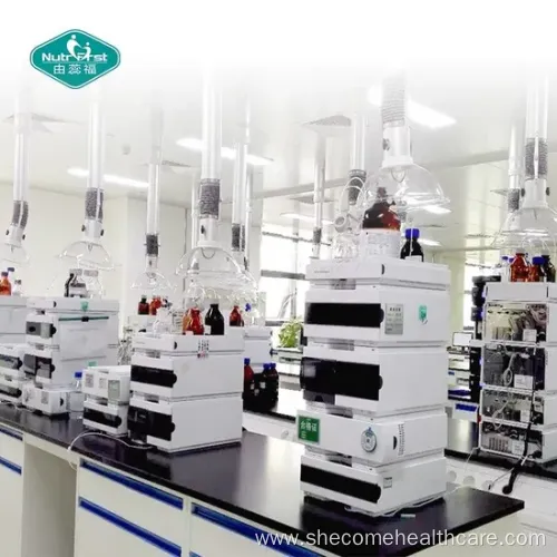 Energy Support Capsules: Ashwagandha, Turmeric & Ginger Extract Blend